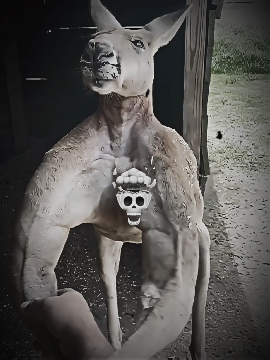 @Atta_edits