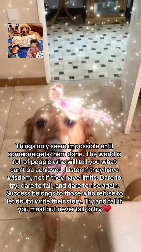 @Happy buddy