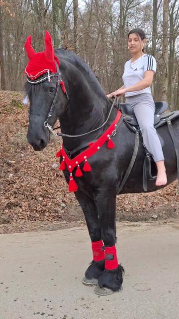 @👑alina🐎👑