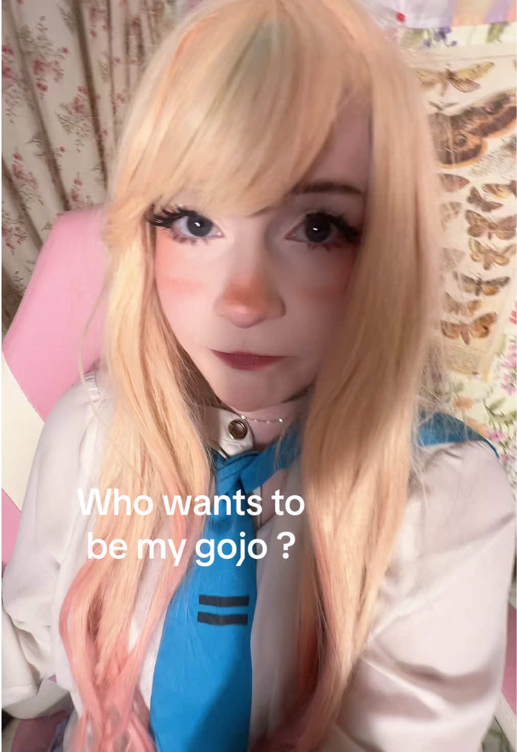 @≽^•⩊•^≼
