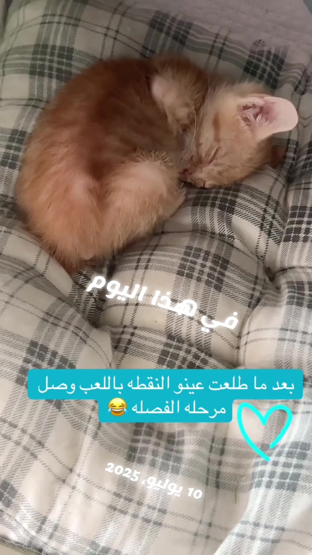 @لولو الحسني🇸🇦🫀