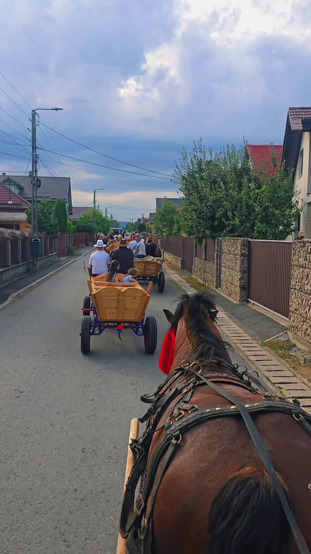 @alexfarcas99cay