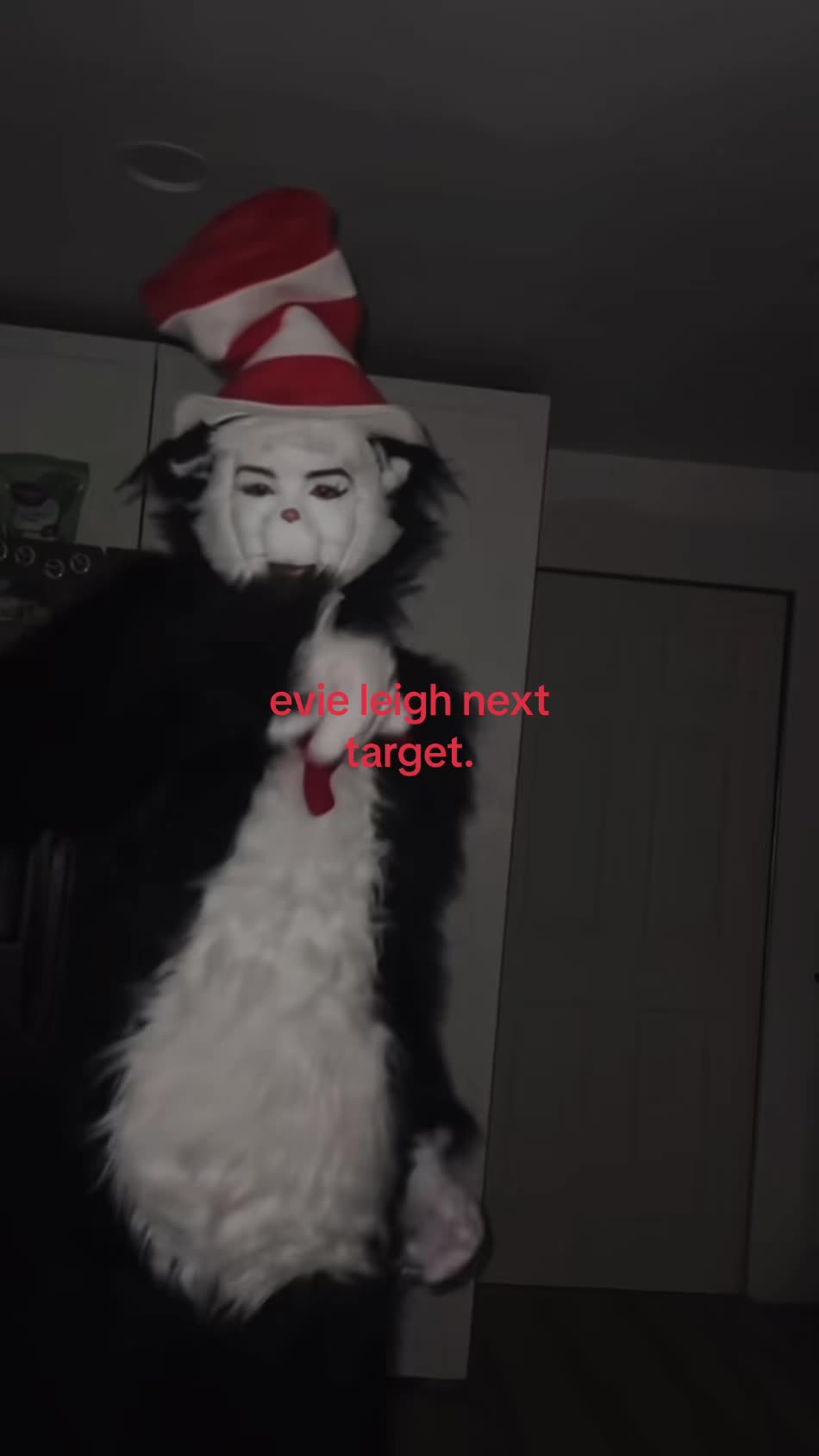 @Cat in the hat (Nunny)