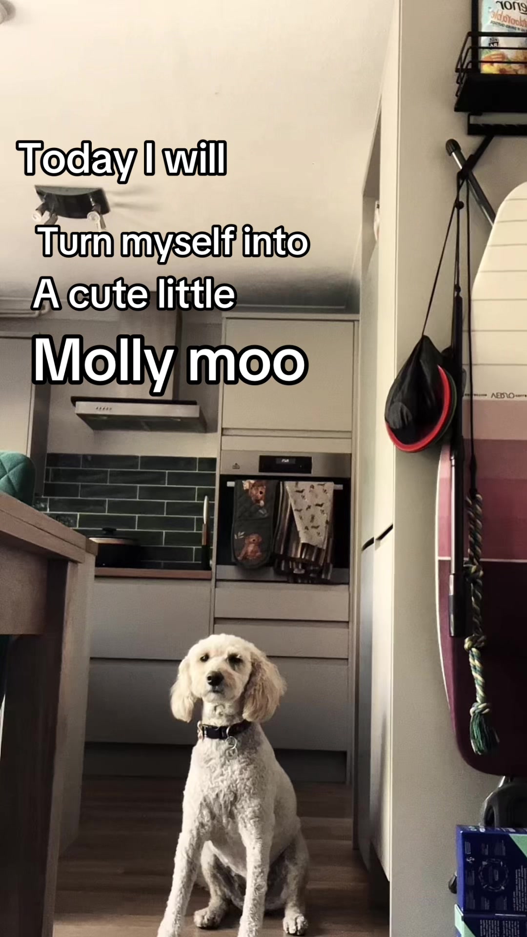@️H