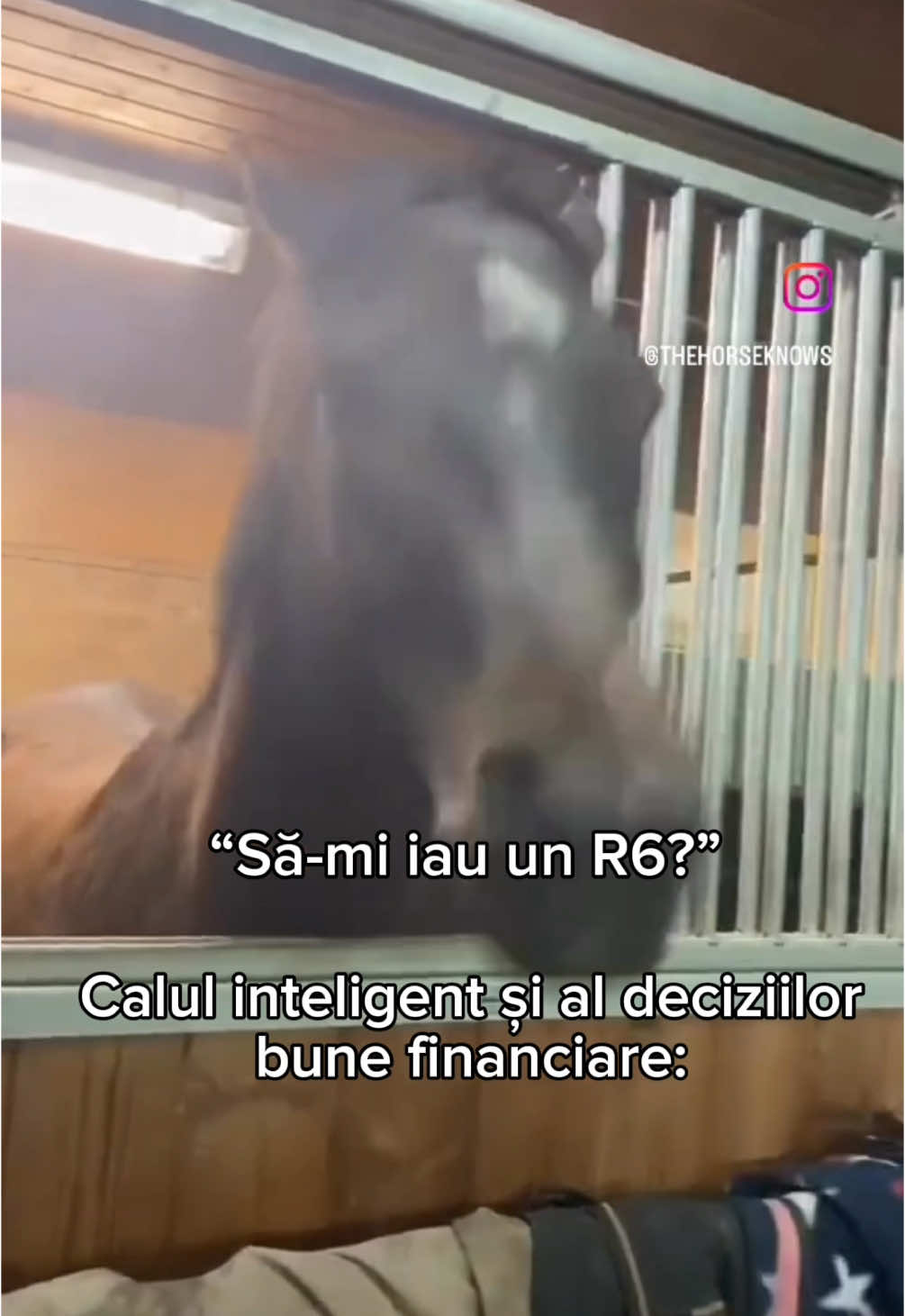 @Toni