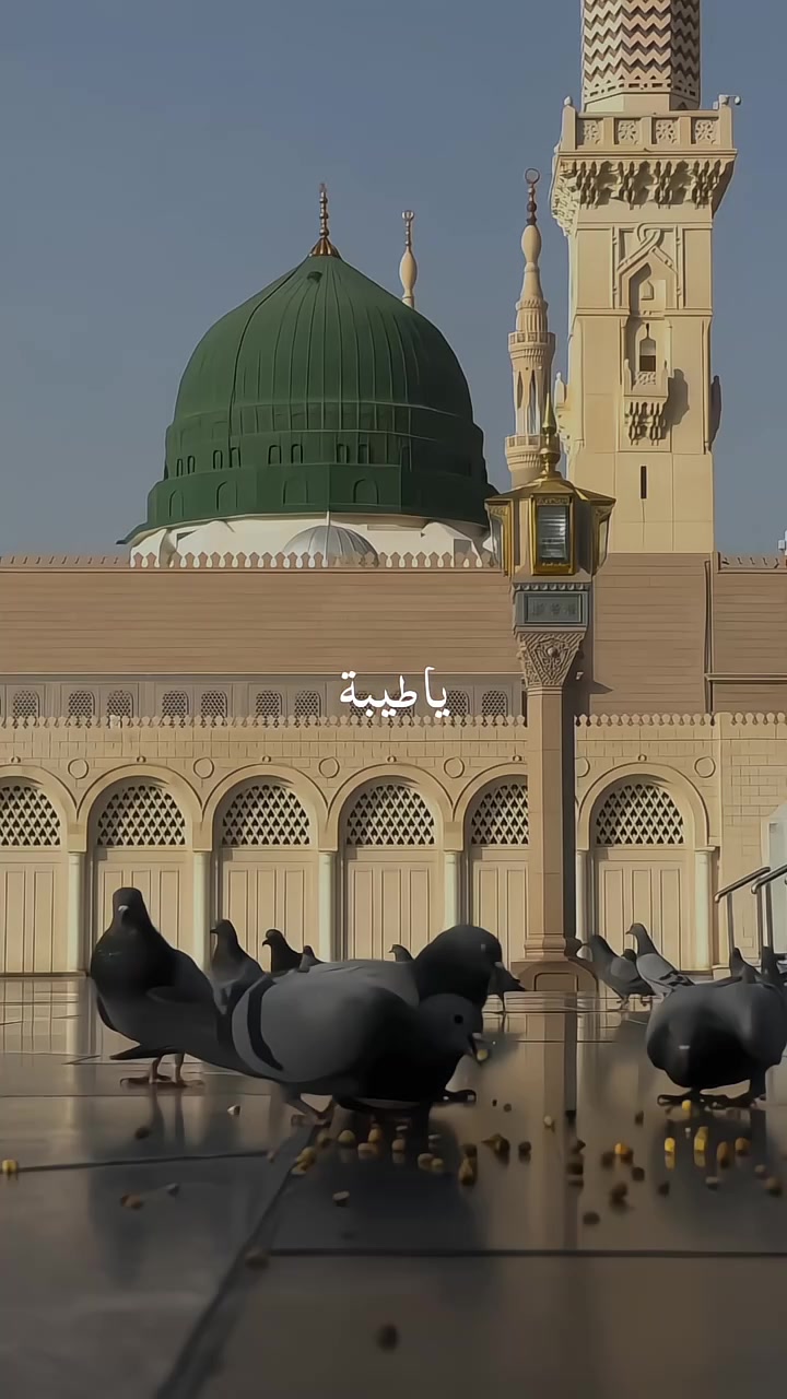 @Noor-e-Hidayat_ نورِ ہدایت