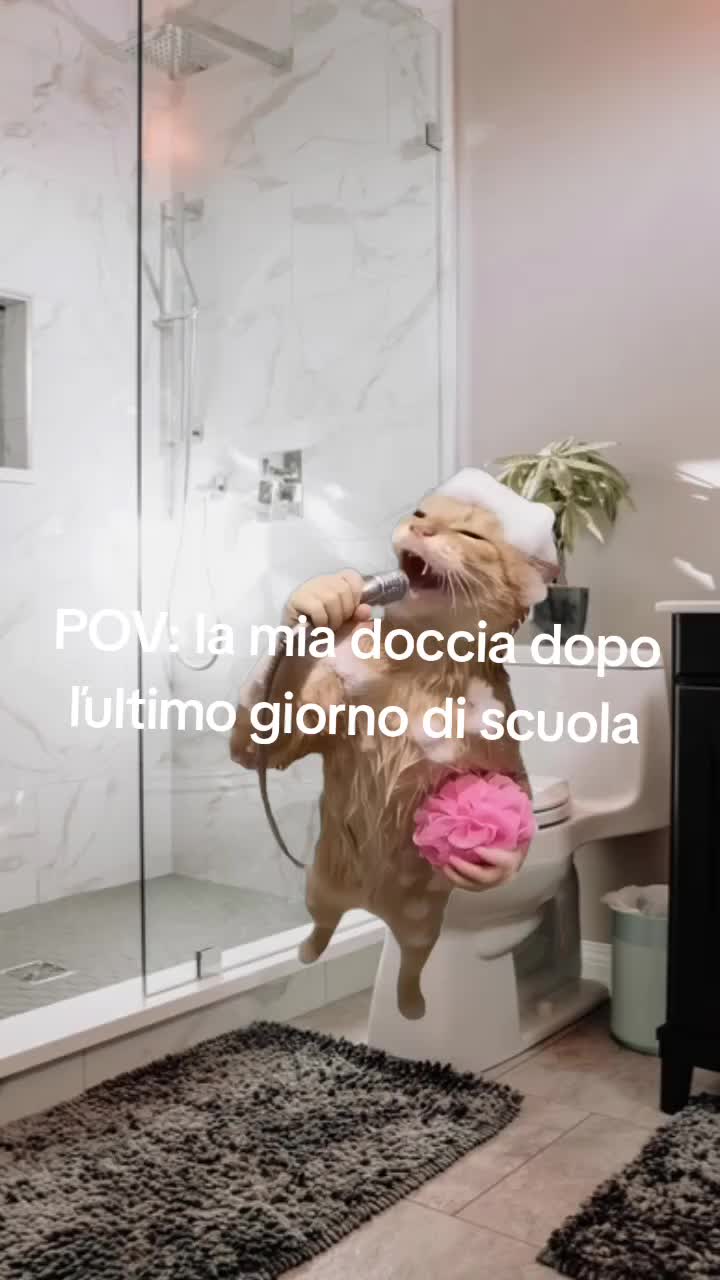 @anas già lo sai