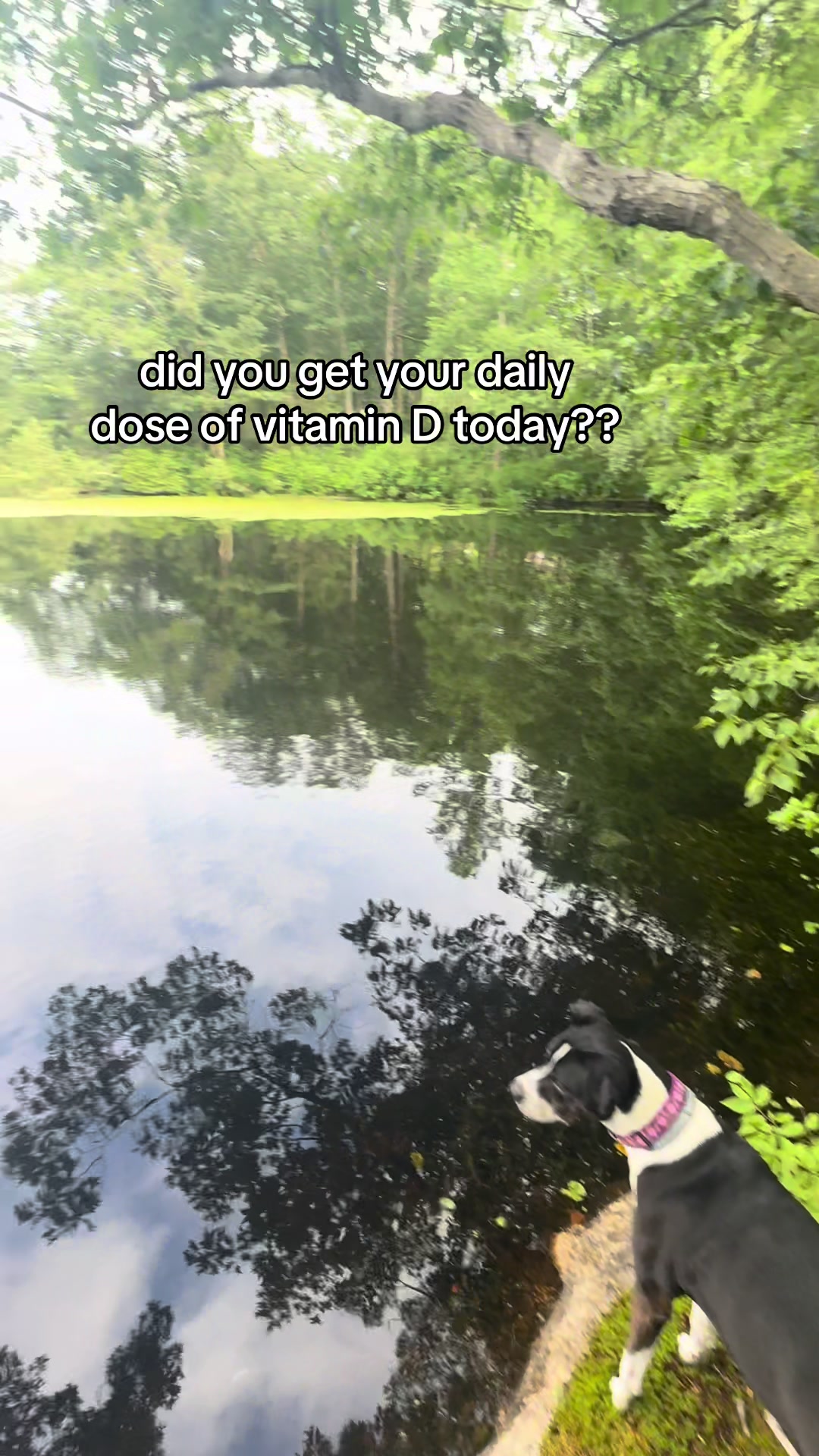 @adk__adventures