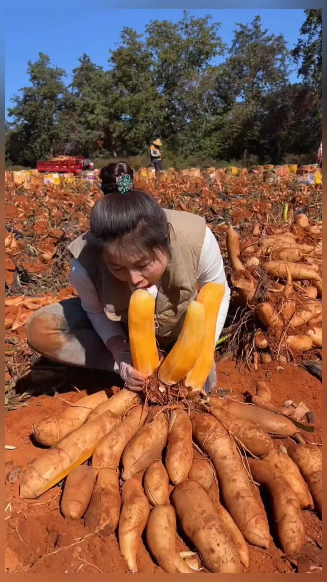 @lovefruits68