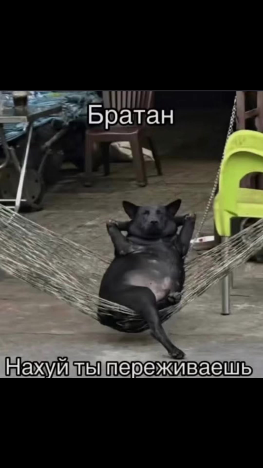 @Николай