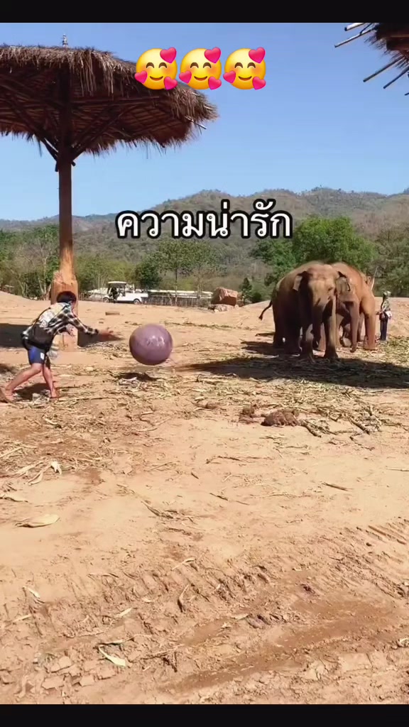 @Tuấn Kiệt 🇻🇳