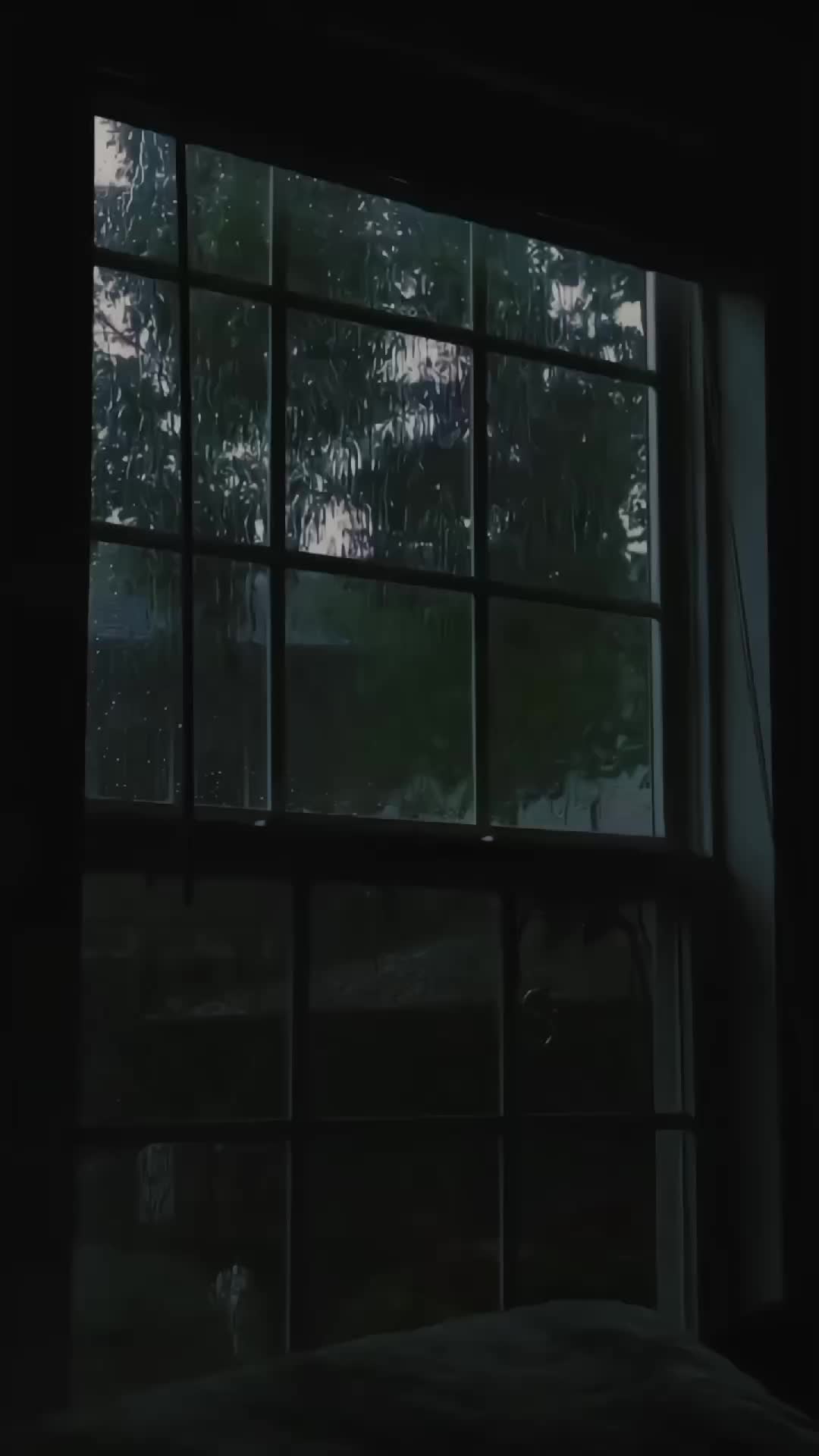 @ℕ𝔸𝕁𝔸𝔽_𝕁𝕌𝕋𝕥 😎