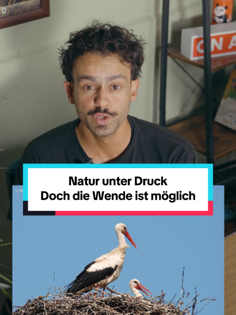 @WWF Schweiz