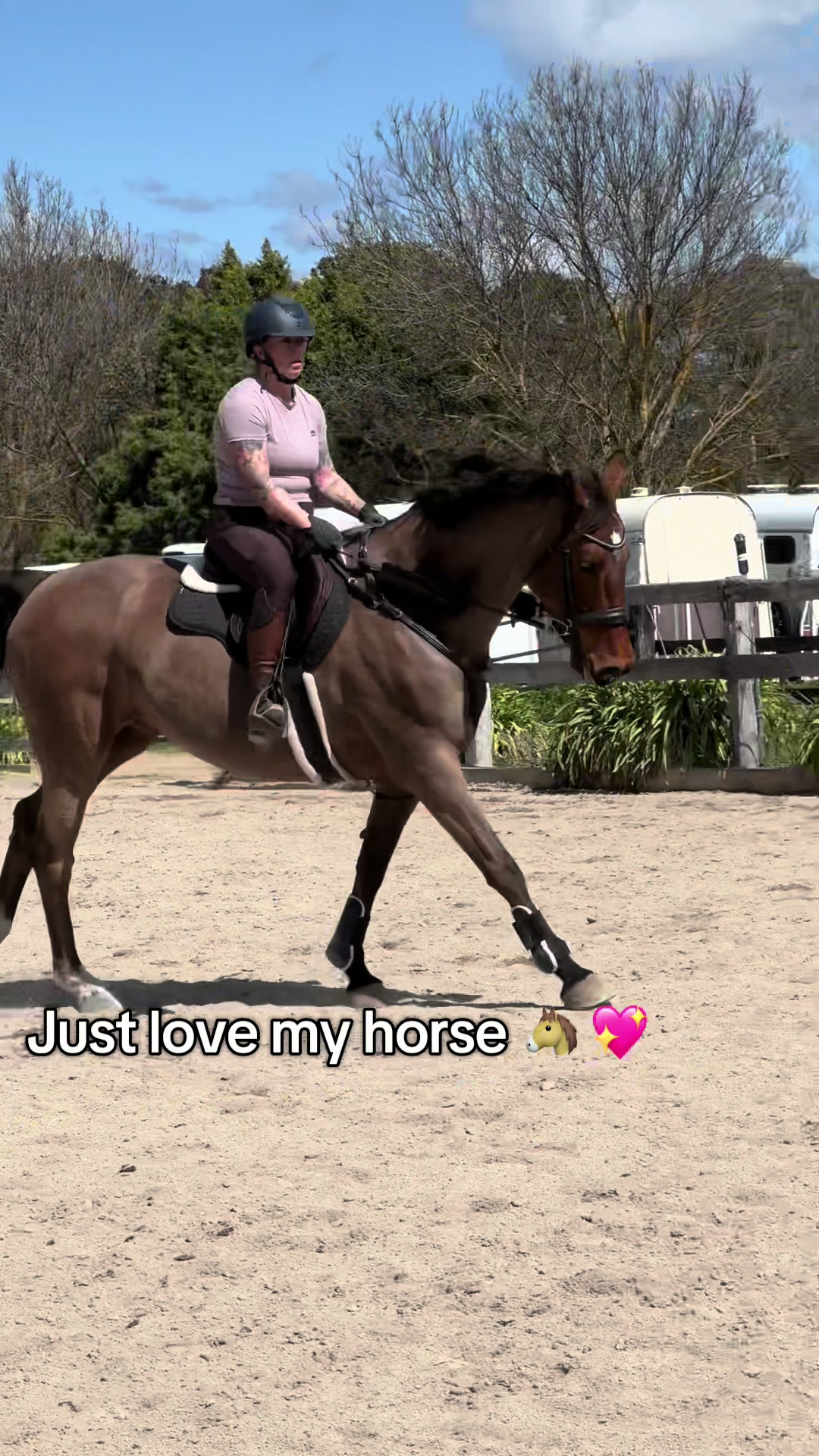 @TDDG Equestrian