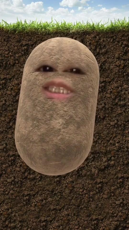 @Spudtacular8