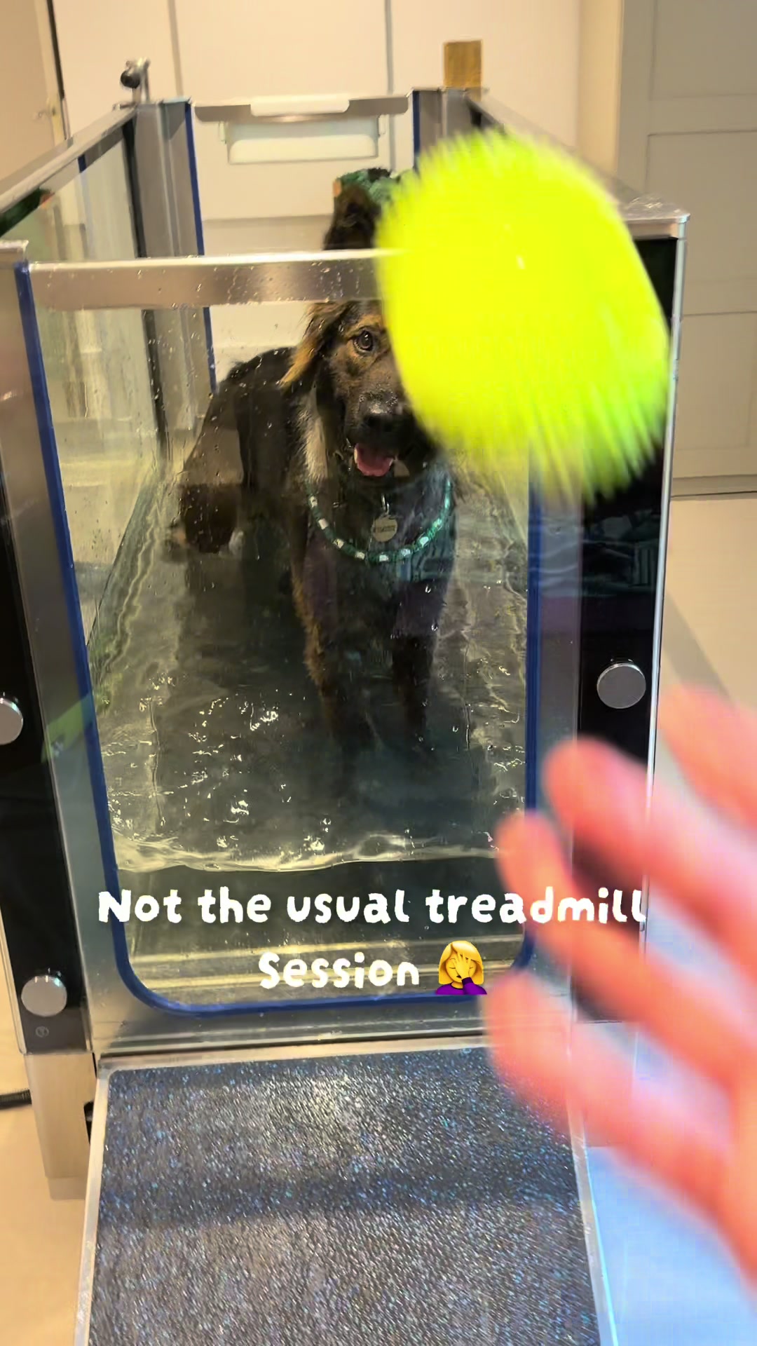 @TheGSDhubwithjennygould