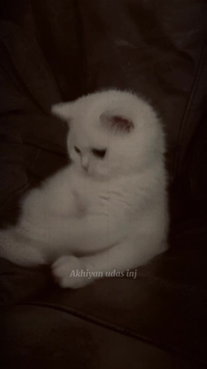 @𝕒𝕖𝕤𝕥𝕙𝕖𝕥𝕚𝕔.𝕞𝕠𝕠𝕟