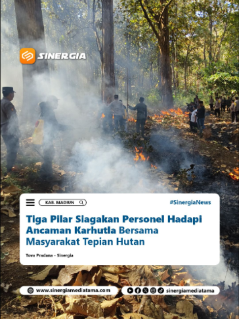 @SINERGIA MEDIATAMA