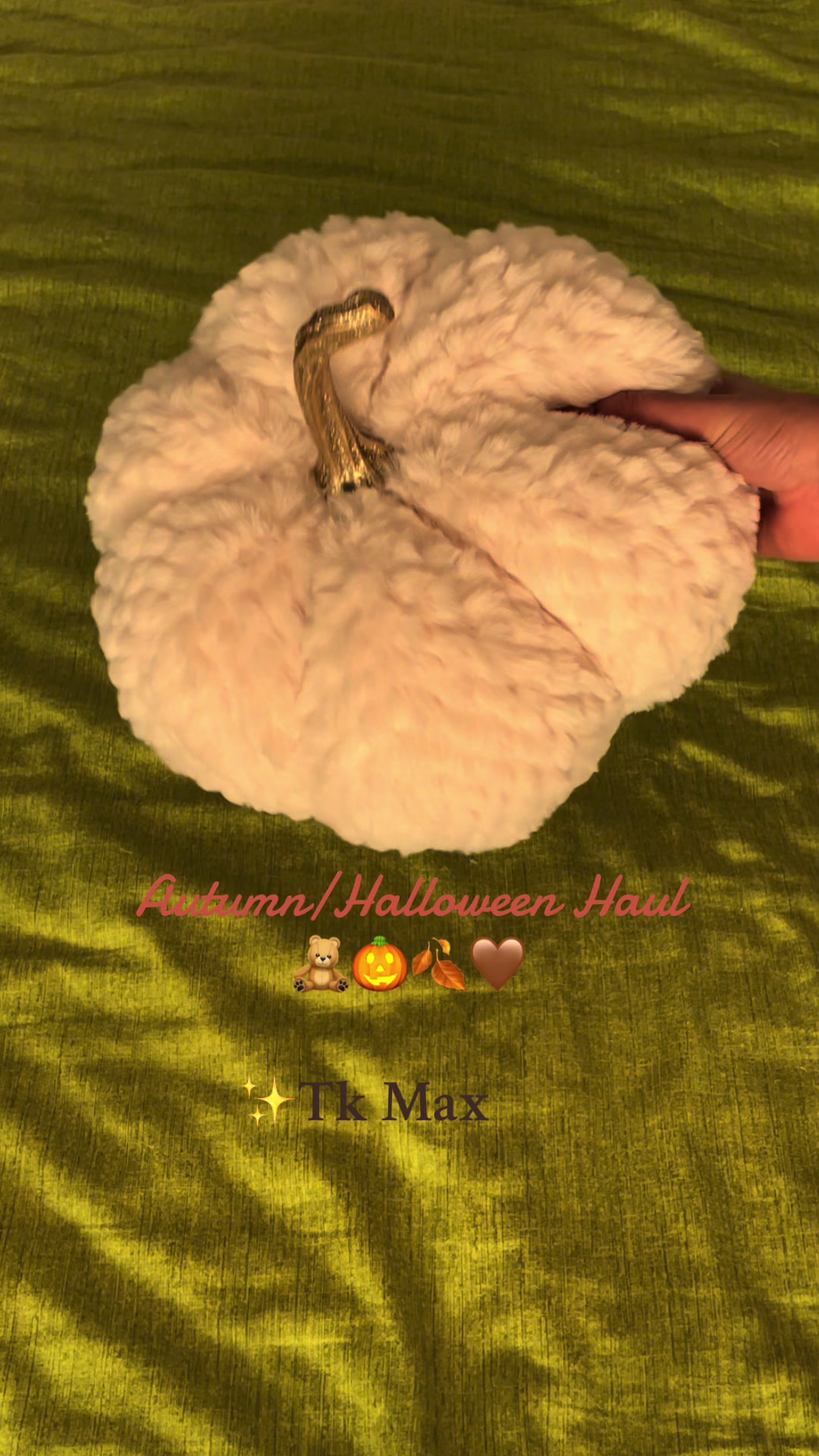 @𝕊εℓเиค🧚🏼♀️