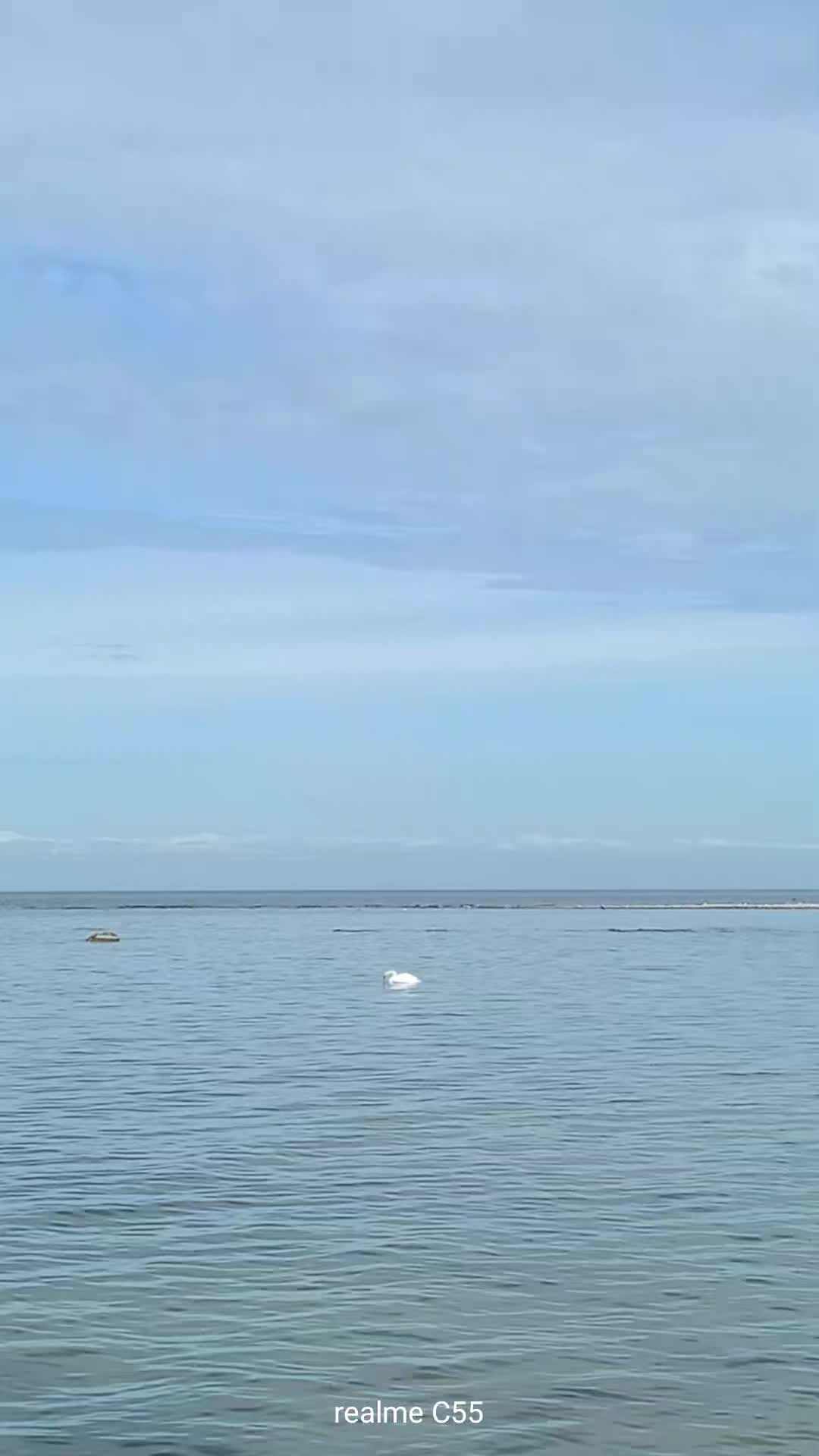 @Юльчик_937 🌊