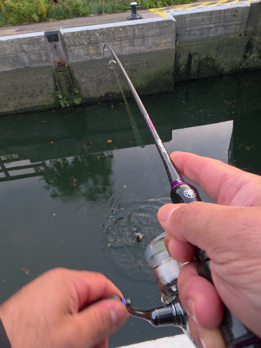 @BF Angler