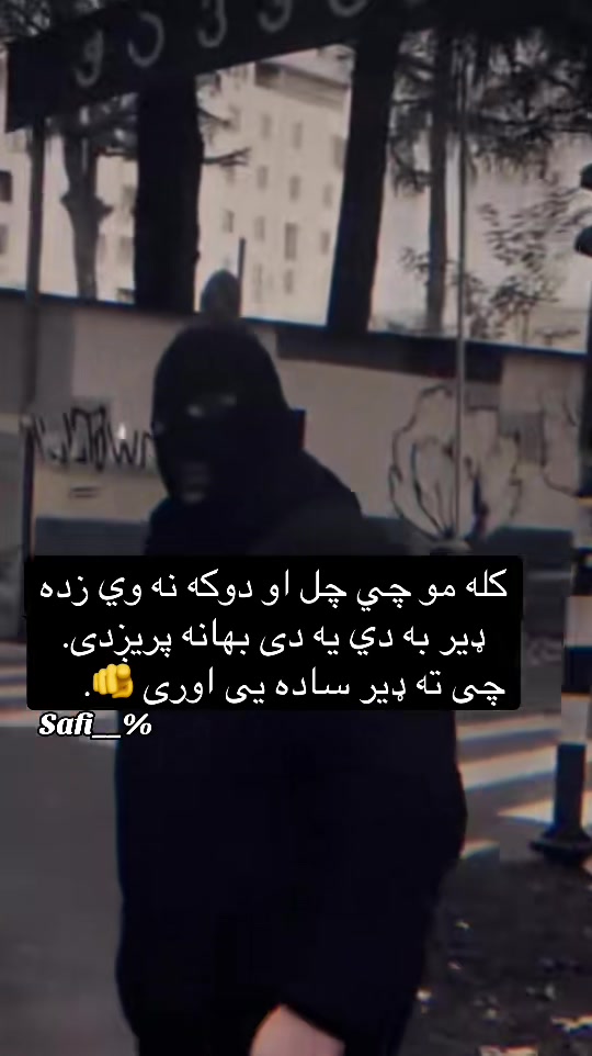@safi.tg2026