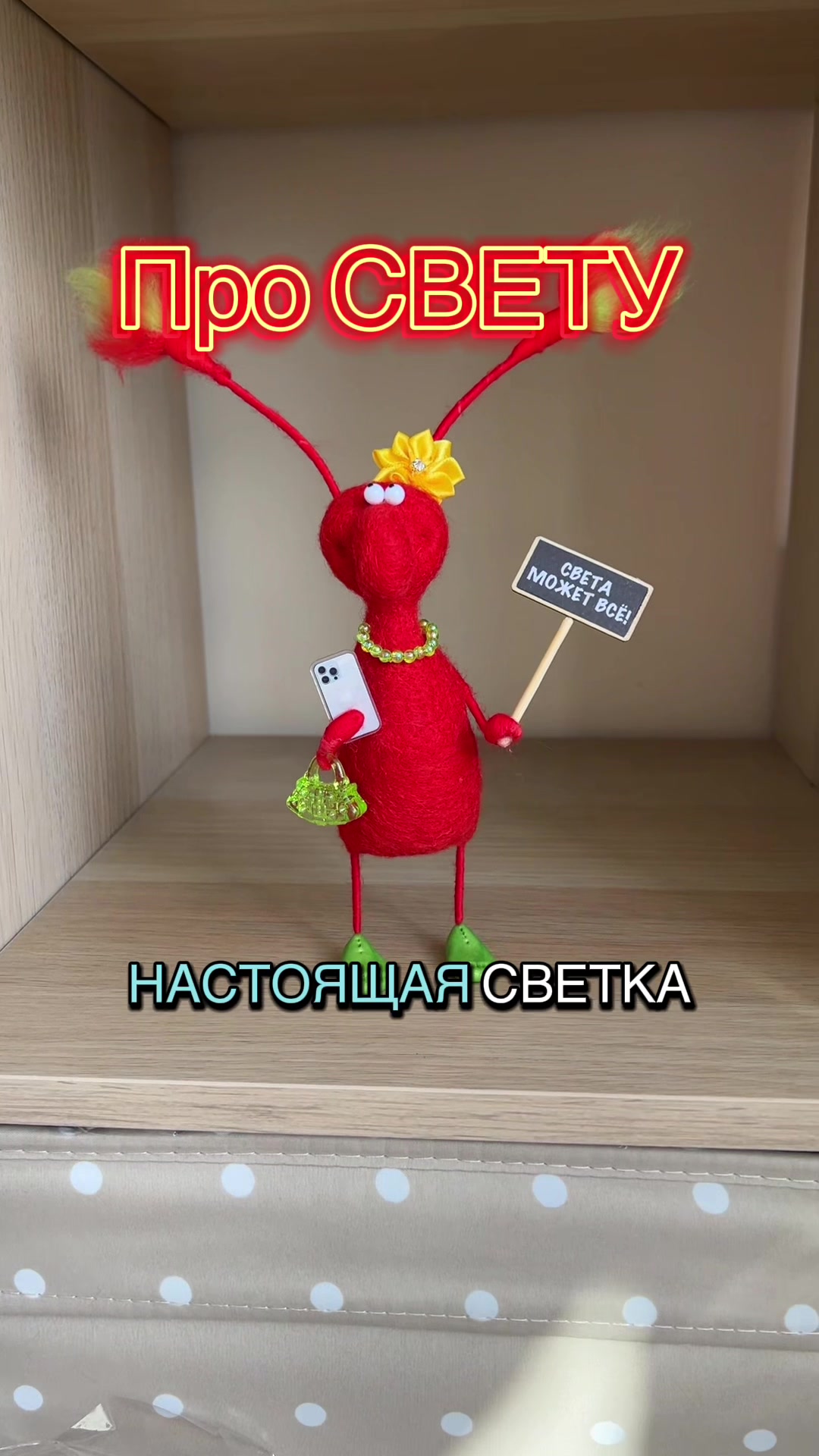 @Таракан женский обыкновенный
