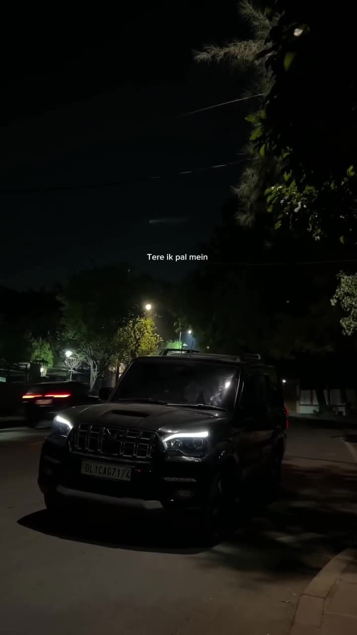 @🐦&zwj;🔥