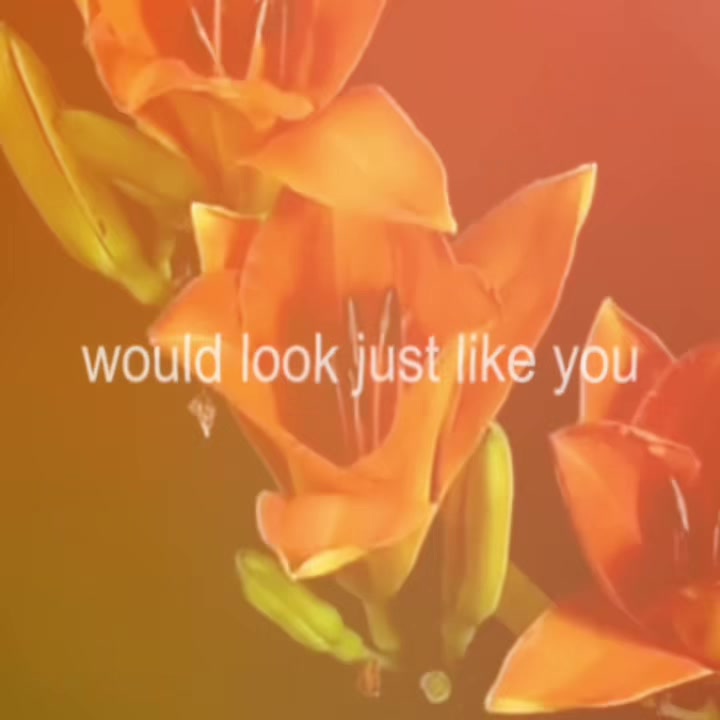 @17:17 hr