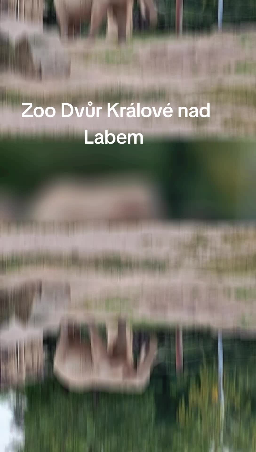 @Linduška Melicherová