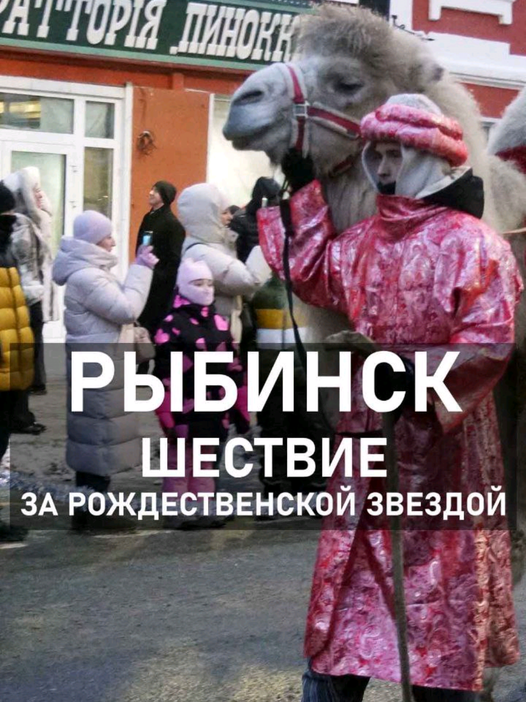 @Pomortseva