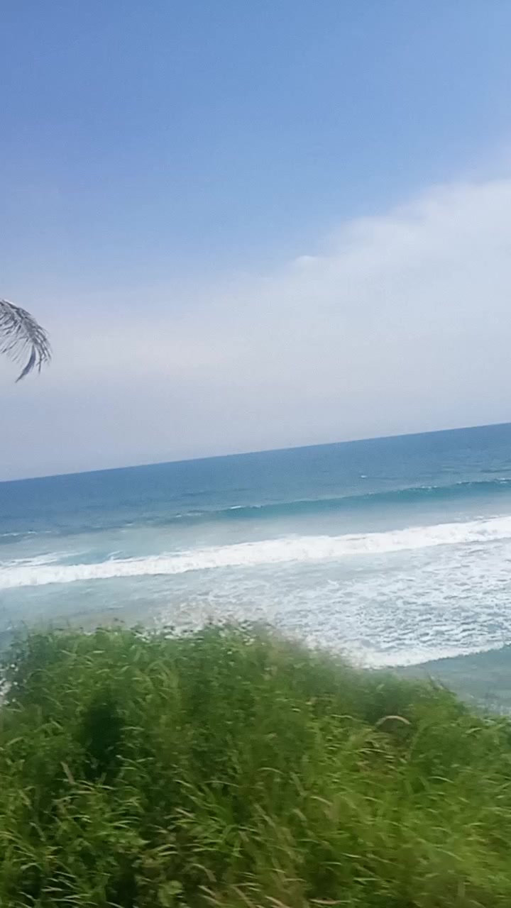 @🌊⃝⃟🐬TIO SERCH🫂🥚🌸🐸🔱🧸