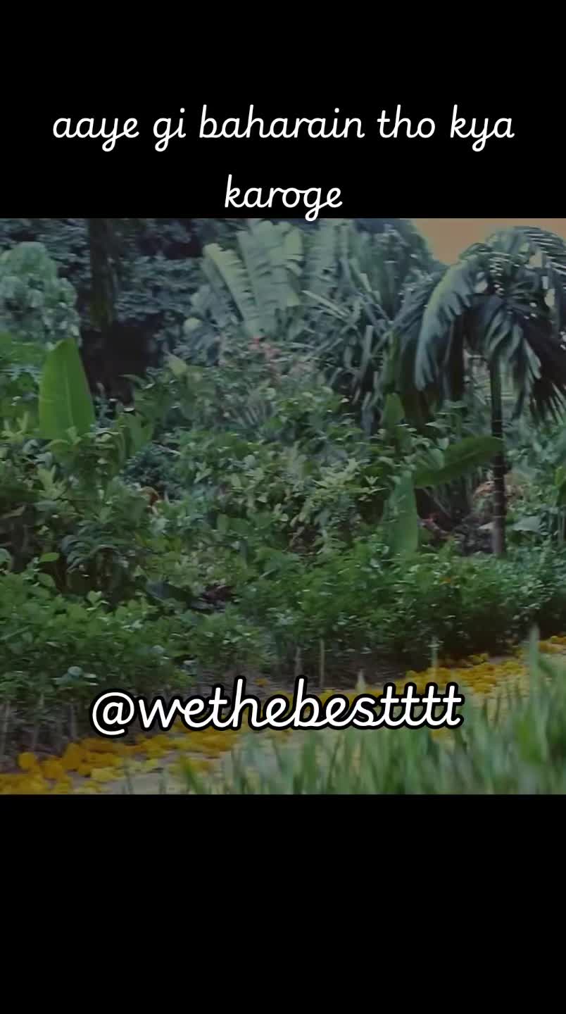 @wethebestttt