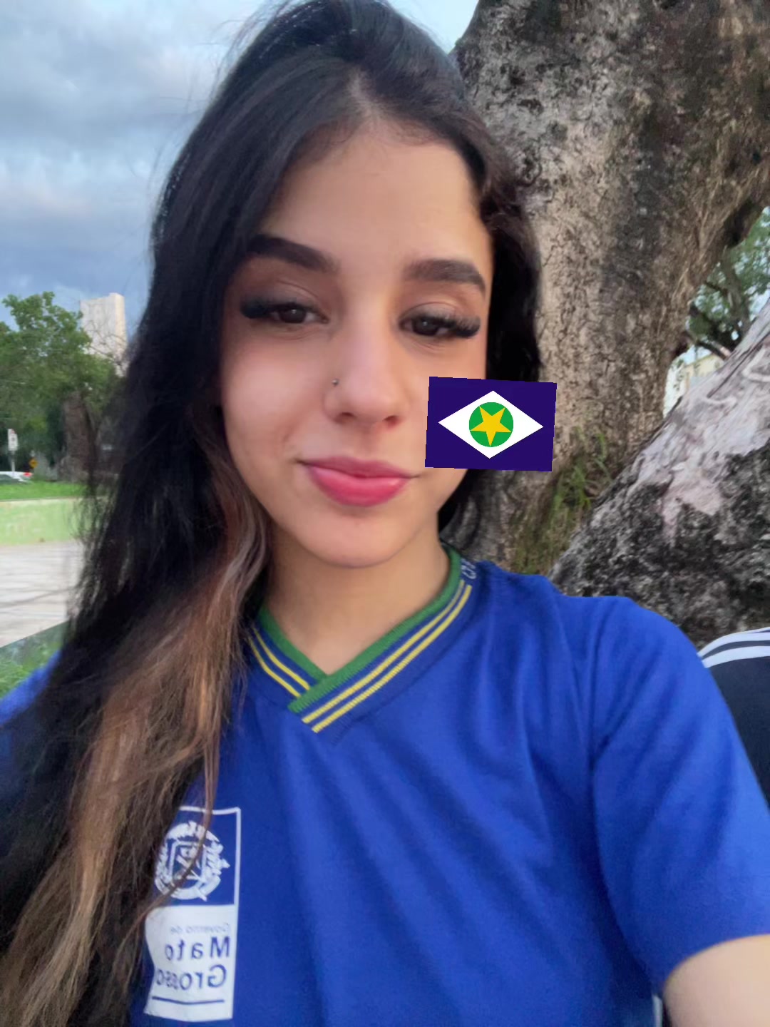@pie
