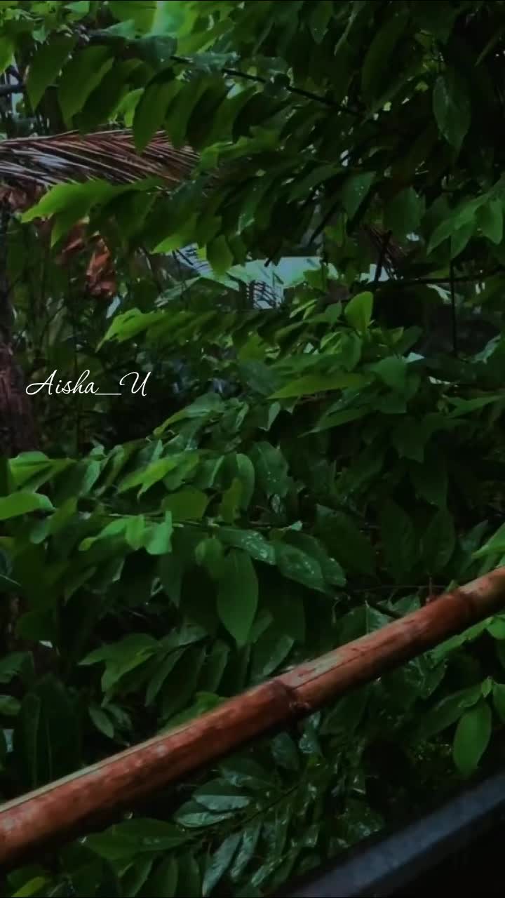 @Aisha_U