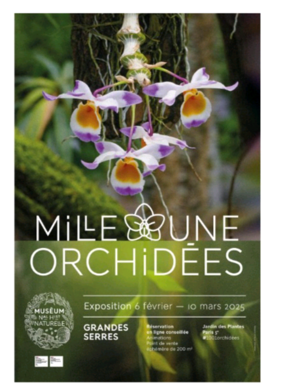 @🌿🌺🌿Orchid Mama 🌿🌺🌿