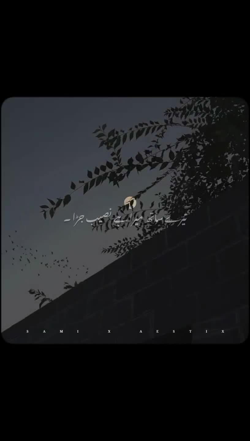 @𝙎𝘼𝙈𝙄 𝙓 𝘼𝙀𝙎𝙏𝙄𝙓 🎧