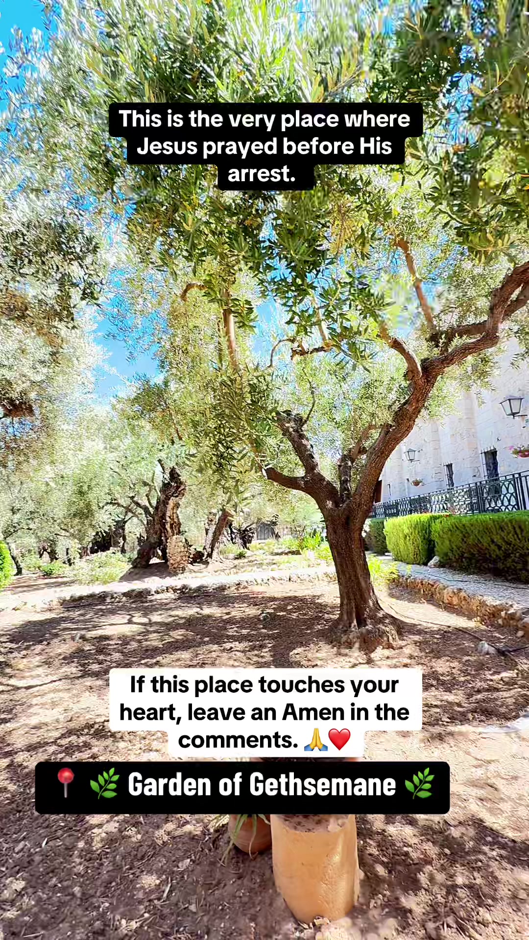 @Israel Care Filipino 🇮🇱