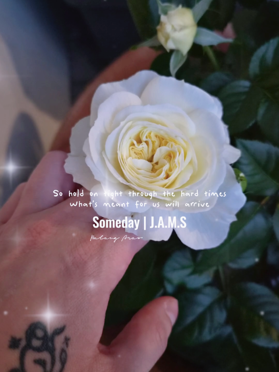 @K εїɞ