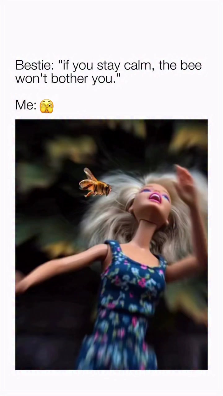 @Kiwi Morgan 🐢🌷