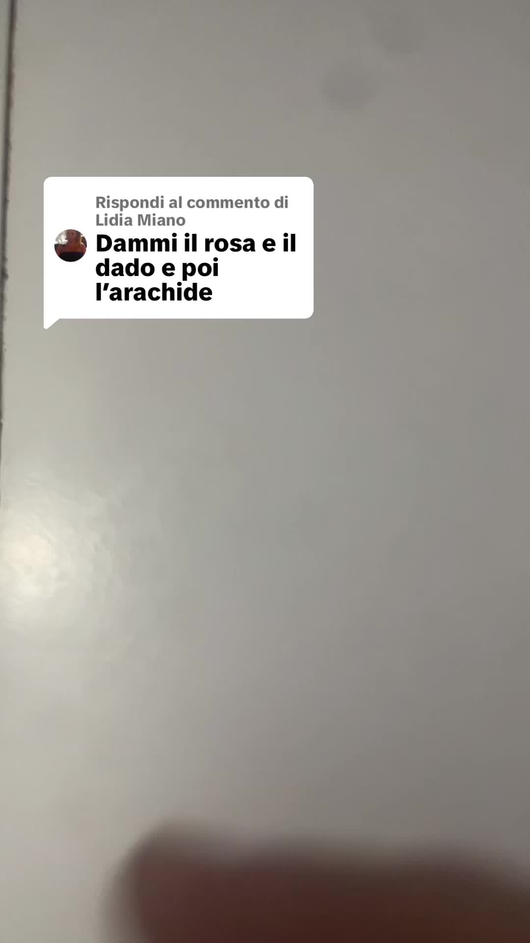 @Gioia Iannelli8