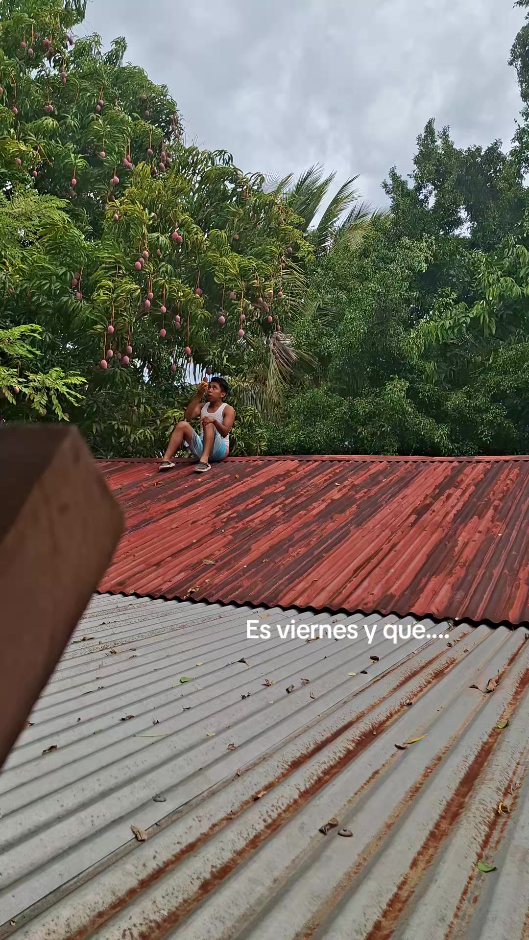 @Edilson_T🧃