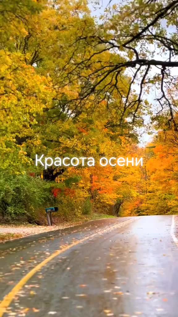 @@Галинка малинка