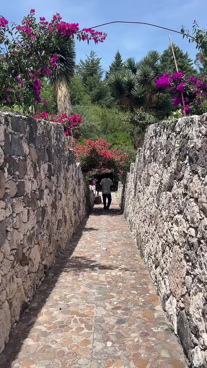 @Ana Lara