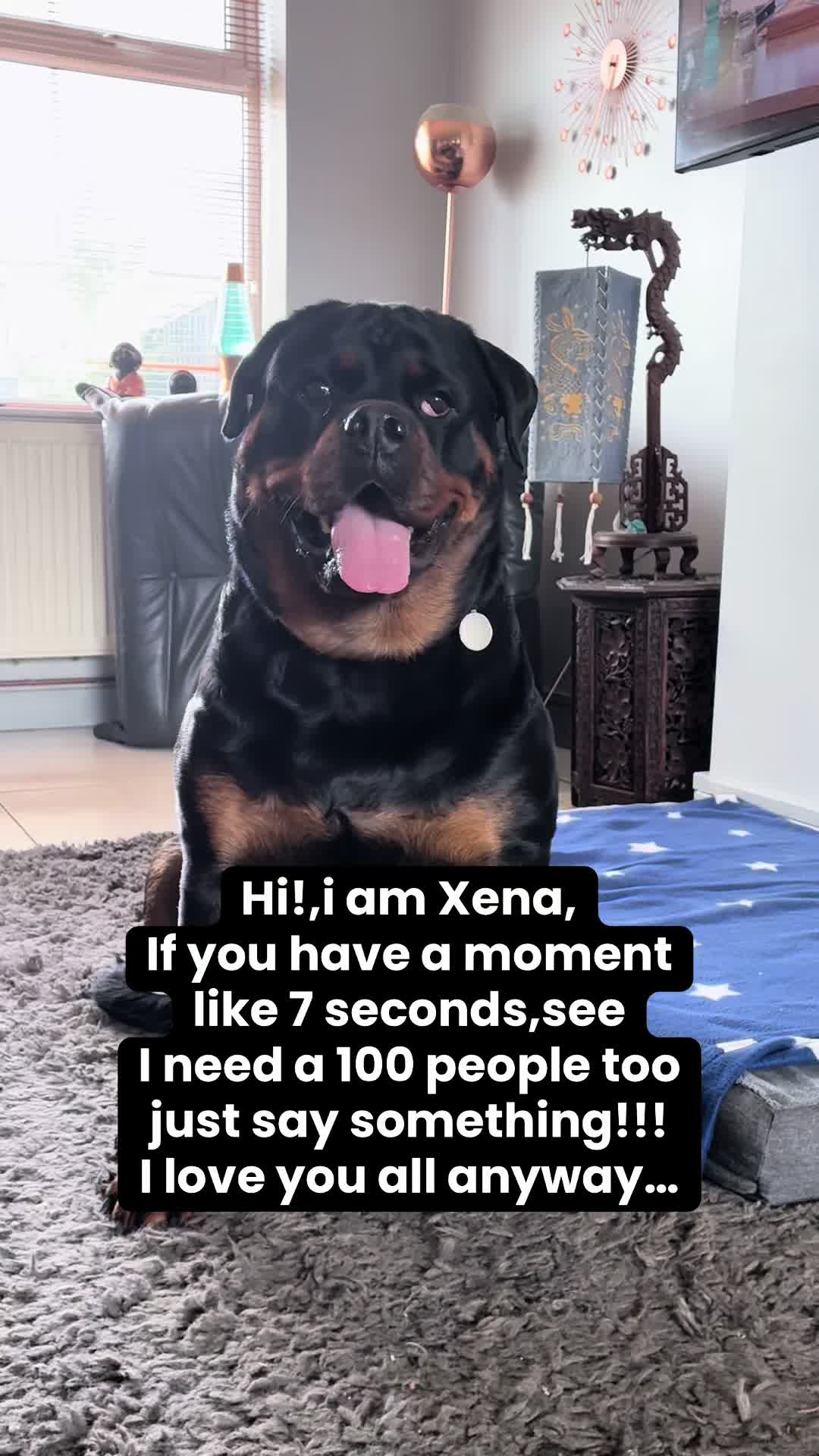 @❤️Rottiexena❤️Rottweiler Dog
