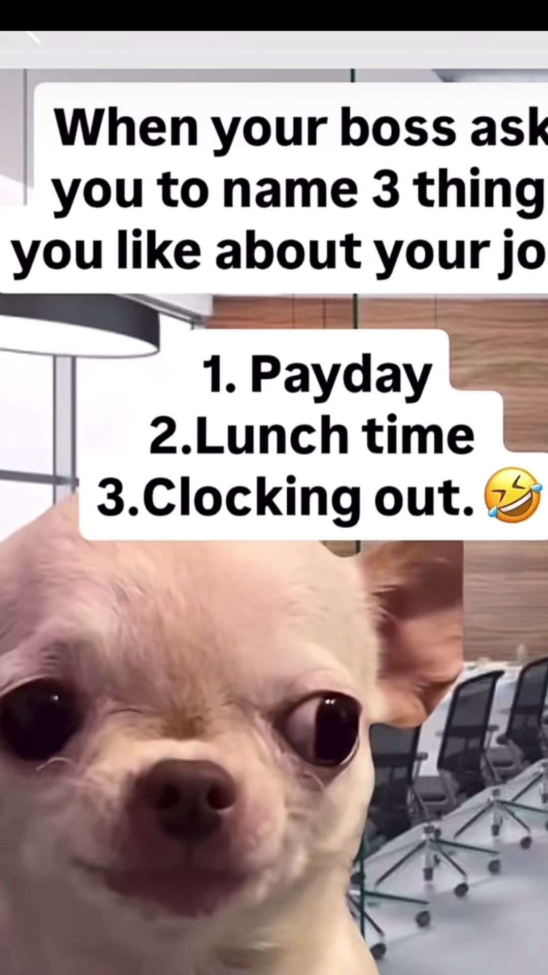 @littlebitfromeverytthing