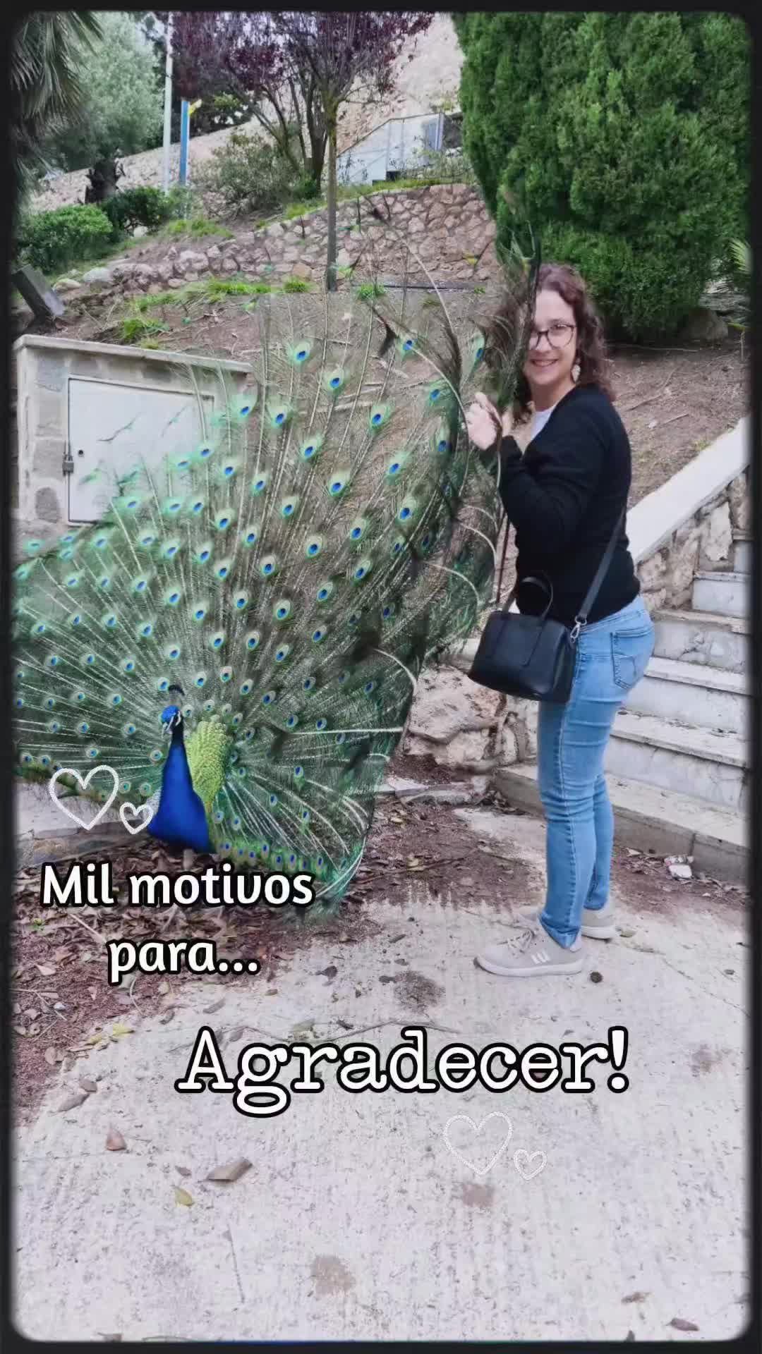 @yoguisol