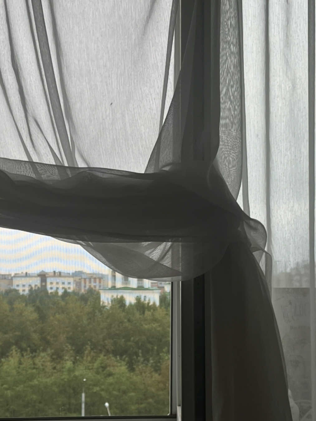 @рыжикs