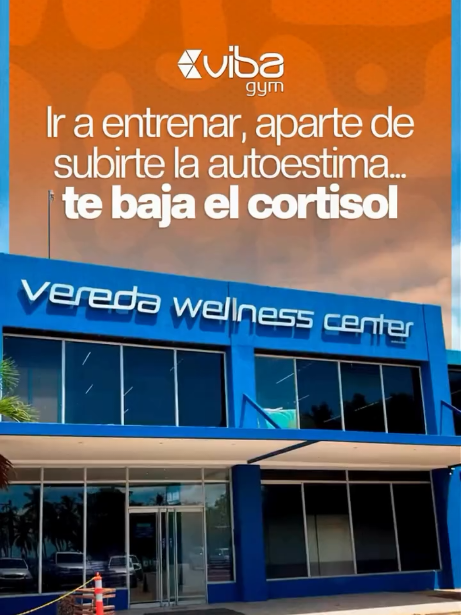@Vibagym