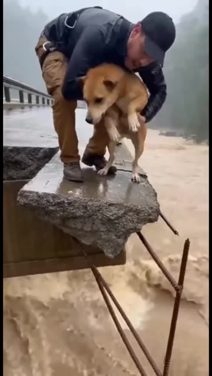@animalslife2026